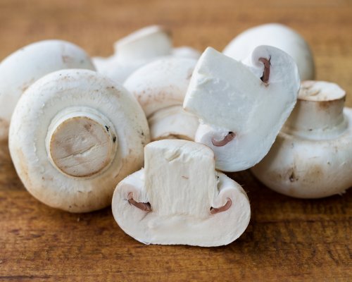 RK Organic Mushrooms