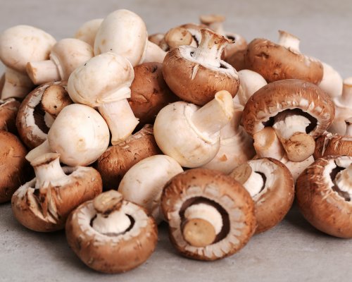 RK Organic Mushrooms