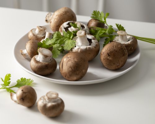 RK Organic Mushrooms